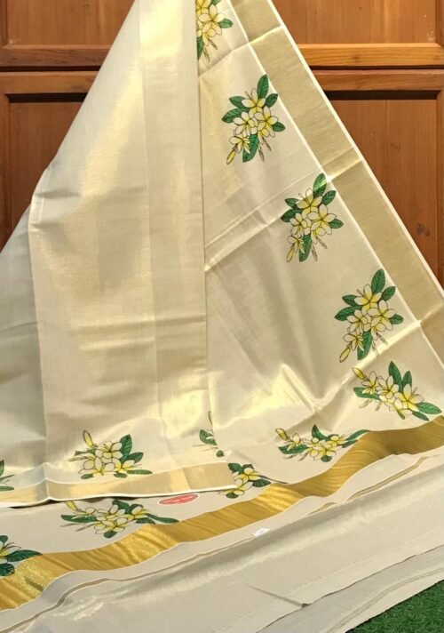 Tissue saree with blouse